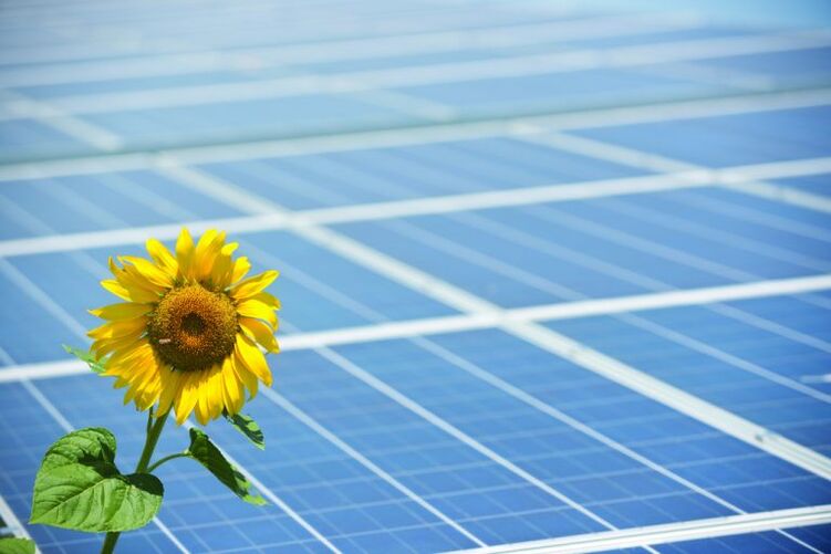 Sonnenblumen und Sonnenkollektoren zum Energiesparen